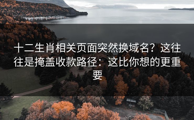 十二生肖相关页面突然换域名?这往往是掩盖收款路径:这比你想的更重要 十二生肖相关页面突然换域名?这往往是掩盖收款路径:这比你想的更重要