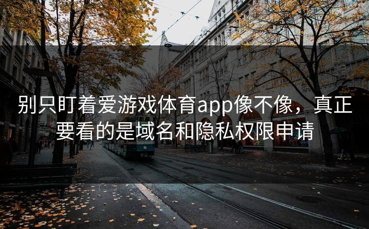 别只盯着爱游戏体育app像不像，真正要看的是域名和隐私权限申请